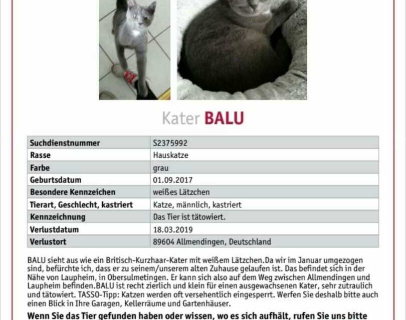 Balu 2019 vermisst