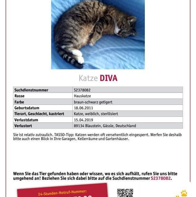 Diva 2019 vermisst