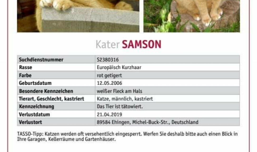 Samson 2019 vermisst