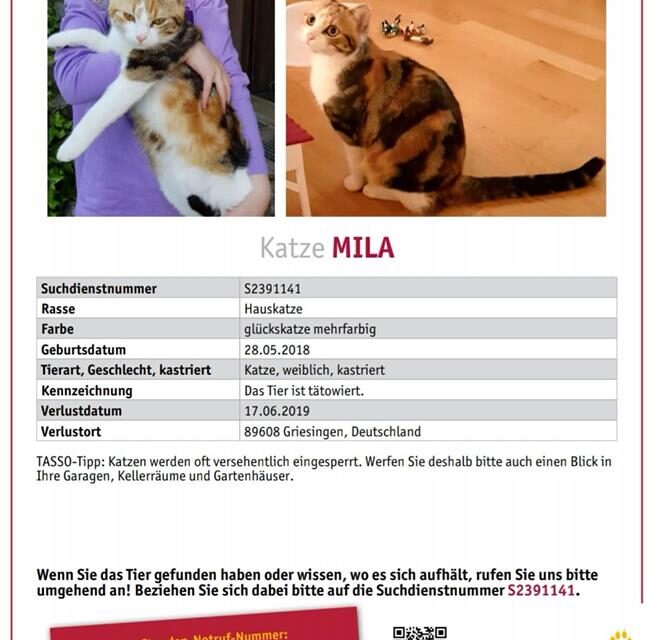 Mila 2019 vermisst