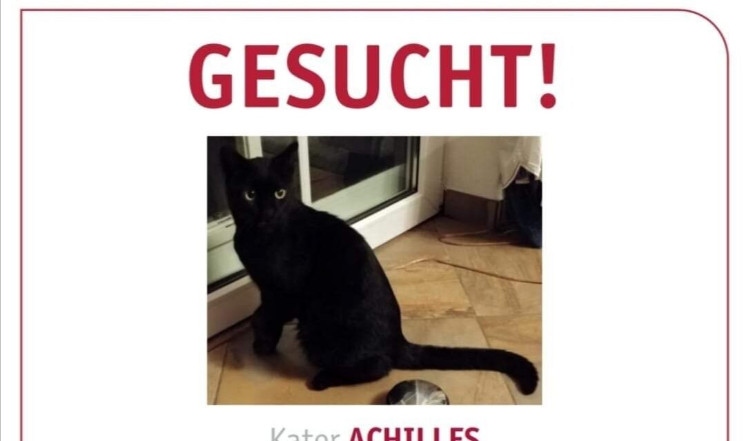 Achilles 2020 vermisst