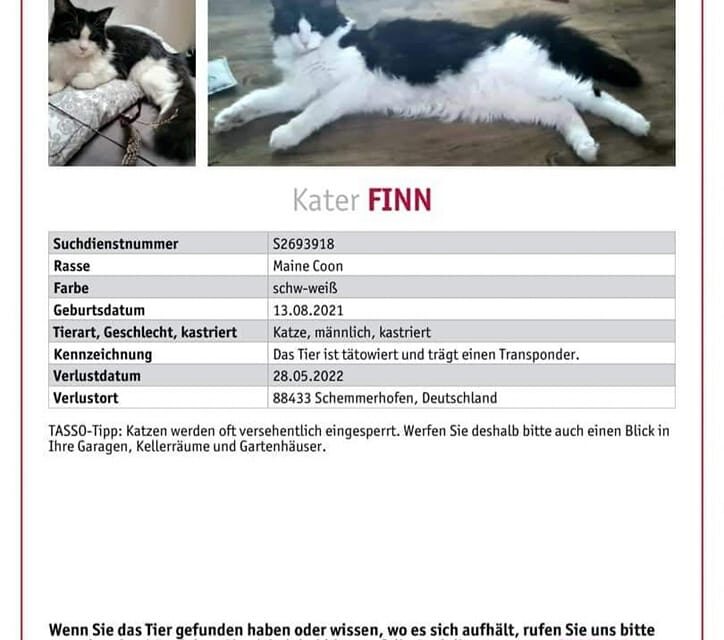 Finn 2022 vermisst