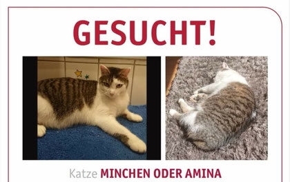 Minchen oder Amina 2019 vermisst